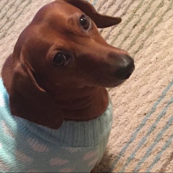 Meet your Posher, Karel - Picture 1 of 1